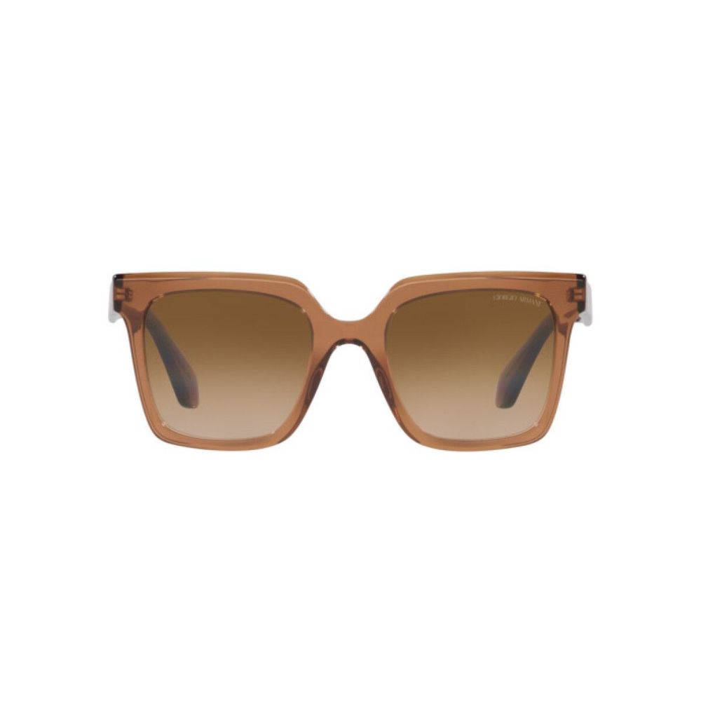 Brown Acetate Sunglasses